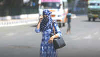Intense heatwave makes Chandigarh tourism sweat 
