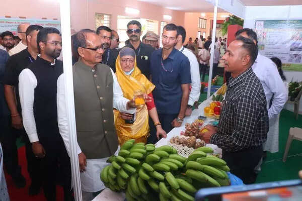 Union agriculture minister Chouhan assures to address problems of banana farmers and exporters