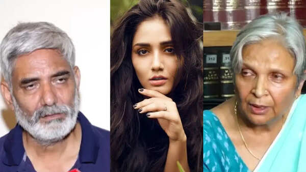 ‘Wolves in sheep’s clothing’: Family of Twisha Sharma hits back at mother-in-law, calls her ‘schizophrenic’
