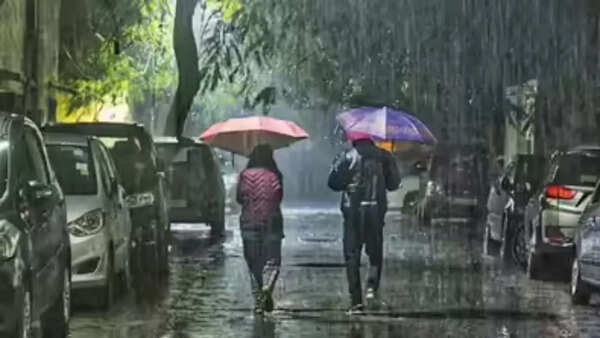 El Niño in May-June to hit temperature and rainfall, says World Meteorological Organization