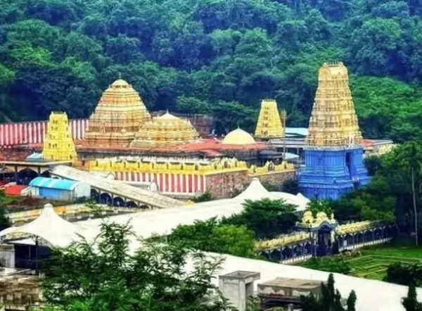 Slot-based darshan, QR tickets, vehicle passes for Chandanotsavam on April 20