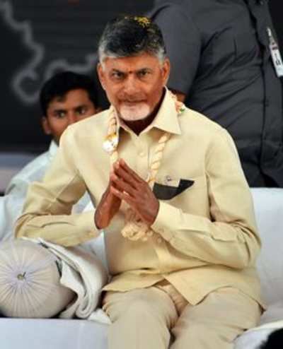 Andhra Pradesh CM Chandrababu Naidu wants death sentence for rape cases to be carried out on the same day as conviction