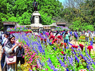 Voice of concern over IISc campus’ dwindling green