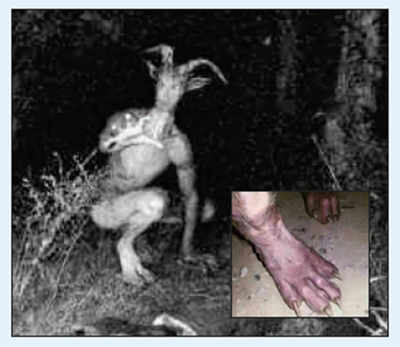 Fake News Buster:Goatman on the loose in Odisha?