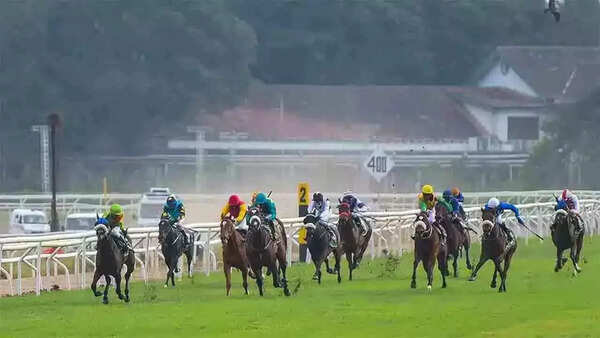 Dream Alliance tipped for BTC Trophy