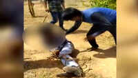 Locals thrash minor boy for allegedly molesting a girl in Rajasthan’s Pali 