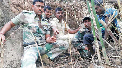 Forest dept hunts down snares to save big cats
