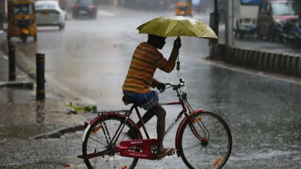 UP thunderstorms: Death toll rises to 117; Yogi govt announces Rs 4 lakh compensation
