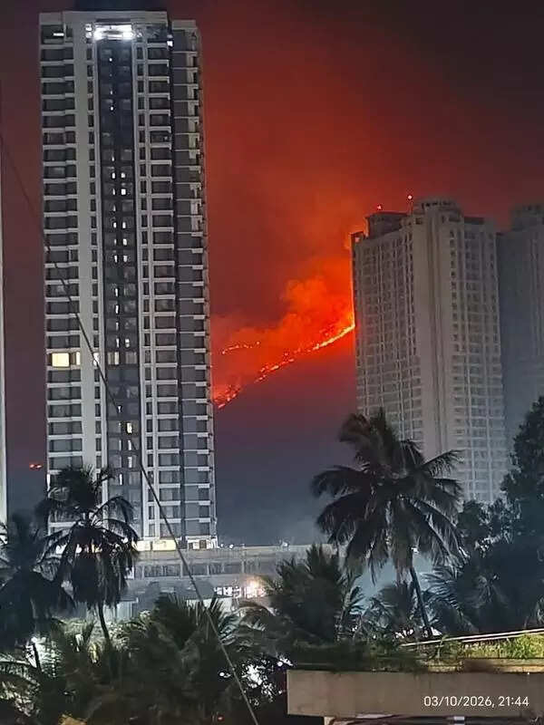 Forest department will fast track periphery wall around SGNP in Thane after suspected mischief in forest fires
