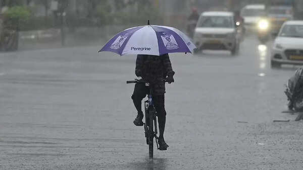 IMD forecasts heavy rain in several districts of Tamil Nadu after peak summer spell