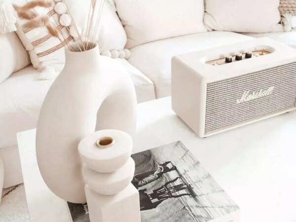 Bluetooth Speaker Buying Guide: Finding The Ultimate Bluetooth Speaker For Your Home