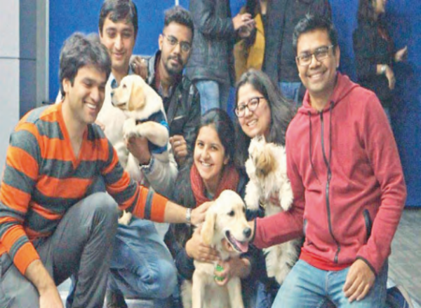 Four-legged therapists