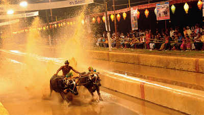 State govt favours new law to support Kambala