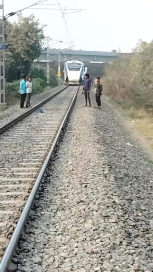 Two friends taking selfies on tracks fatally hit by train