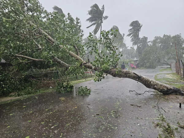 Low pressure over Bay of Bengal may lead to cyclone: IMD