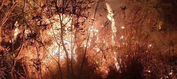 Fire breaks out on hill, doused after hours