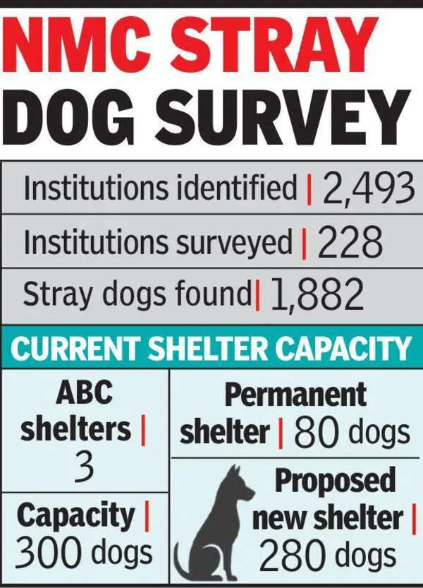 1,882 stray dogs still roam Nagpur streets due to shelter crunch