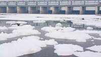 Delhi: Domestic detergents causing froth in Yamuna river 