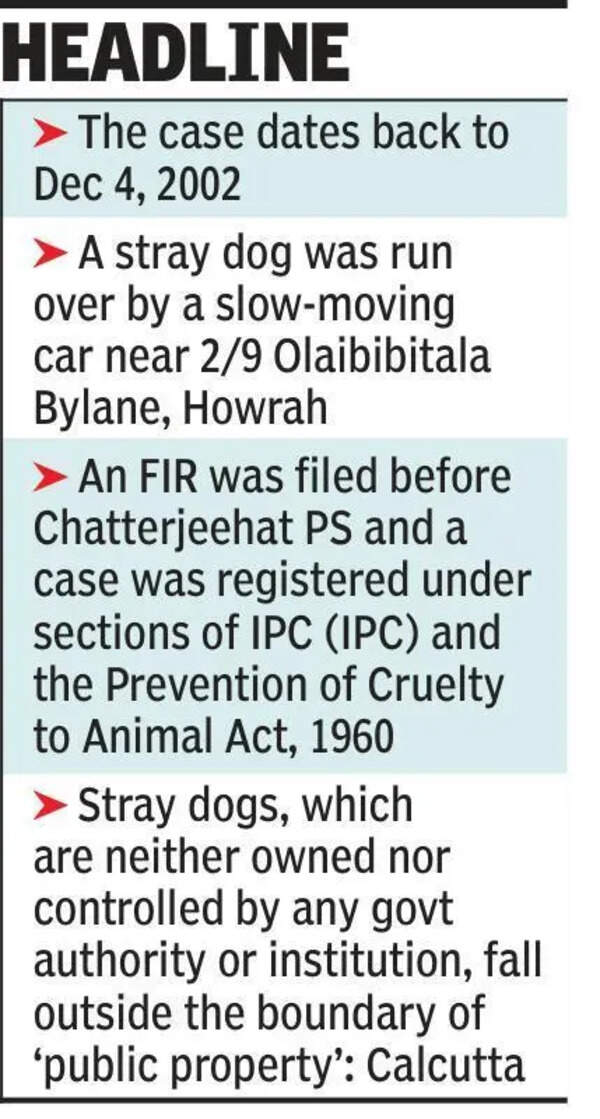 HC quashes animal cruelty case over stray dog accident