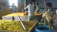 Haryana: Panipat’s pickle manufacturers struggle to recover from lockdown snag 