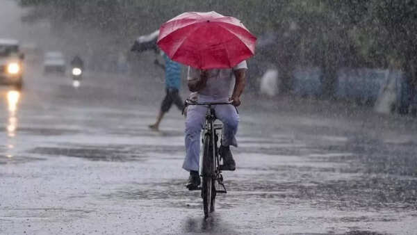 IMD’s rain forecast brings cheer to NE farmers
