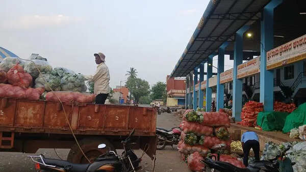 Farmers & traders hit as vegetable prices plunge at Belagavi APMC