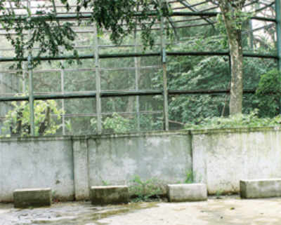 State orders Byculla zoo to demolish wall built in 2010