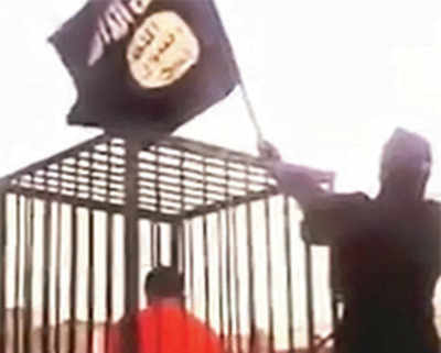 Paraded in cages, 17 captives ‘to be burnt alive by IS’