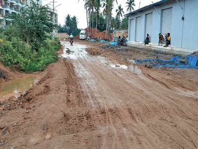 In Thubarahalli, residents face the same three evils — slush, no water in taps and no streetlights