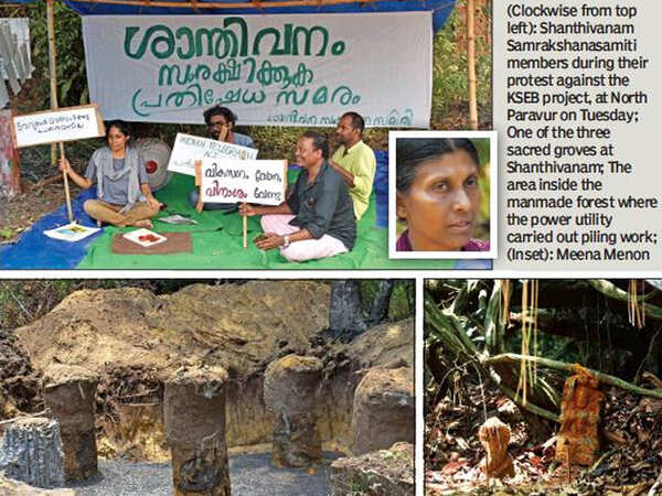 Greens stall KSEB work at Shanthivanam in Kochi