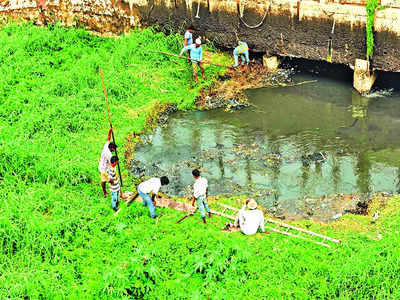 Rejuvenation of Bellandur, Varthur Lakes nowhere near completion