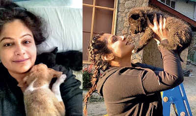 Ayesha Jhulka: Stricter laws against animal cruelty important