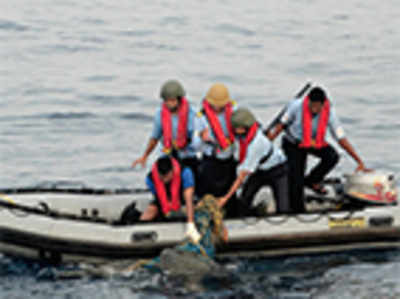 Coast guards save three olive ridley sea turtles
