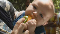 Dussehri mango certainly rules the heart of Lucknowites 