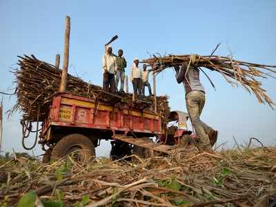 Maharashtra government to give guarantee loans raised by cooperative sugar factories