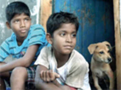 Movie Review: Kaaka Muttai