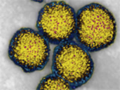 IISc scientists develop drug delivery system to target hepatitis C virus
