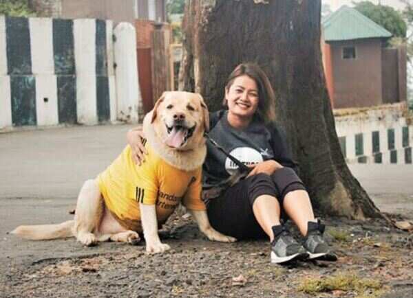 Ban on dog meat sale in Nagaland kicks up a storm