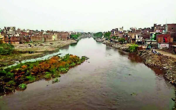 NGT takes up fresh plea on waste dumping, burning on Gaula flood plain