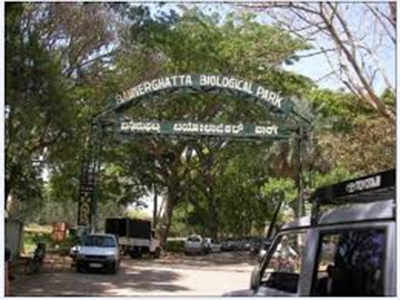 Bannerghatta biological park  to get giraffes, white lions and many birds too