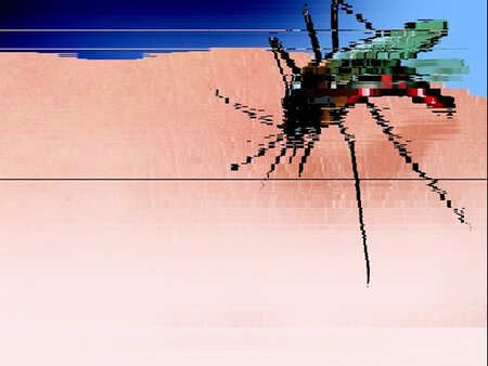Spurt in dengue cases in Madkai and Valpoi