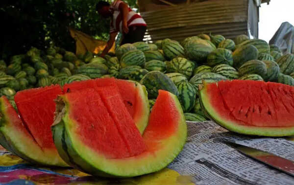 Mumbai deaths: Chandigarh food health dept starts random sampling of watermelons