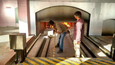 Weak infrastructure puts Bengaluru’s pet crematorium in the doghouse