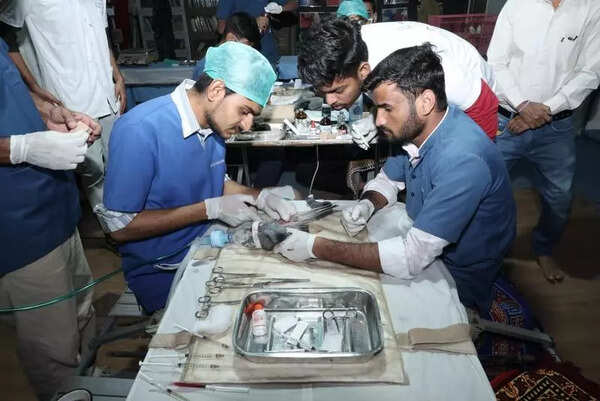 ‘Karuna Abhiyan’ bird rescue drive saves 1,841 birds in Surat