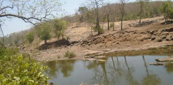 Spain, Japan & Dutch cos eye Gargai dam consultancy work