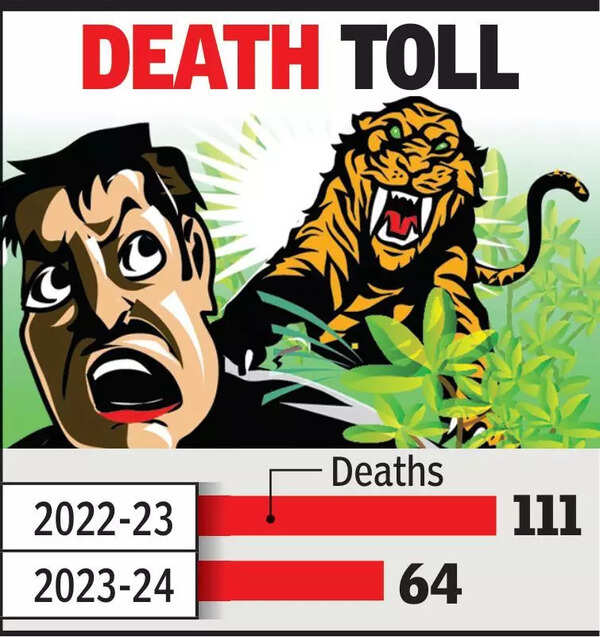 Bhandara farmer dies in tiger attack