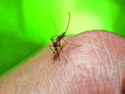 Monsoon dengue surge: City faces double threat