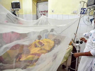 Over 40, including kids,  die of suspected dengue