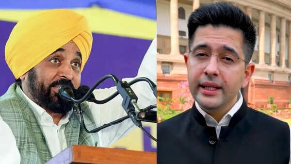 Raghav Chadha vs Bhagwant Mann: War of words rocks AAP leadership