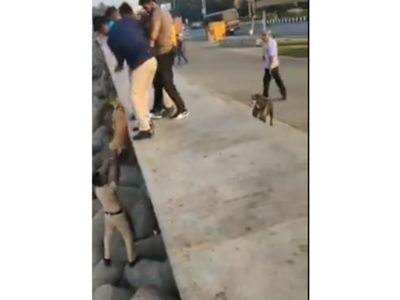 Mumbai: Daring rescue of pet dog by policeman at Marine Drive wins kudos from Home Minister